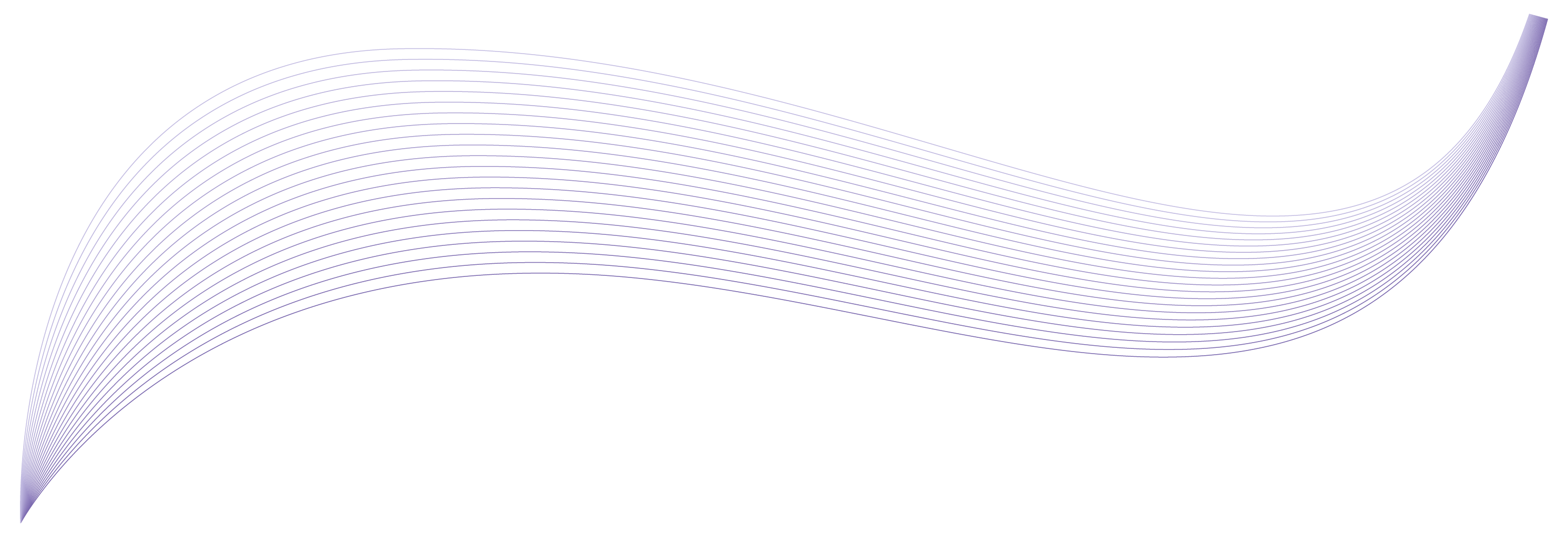 rows